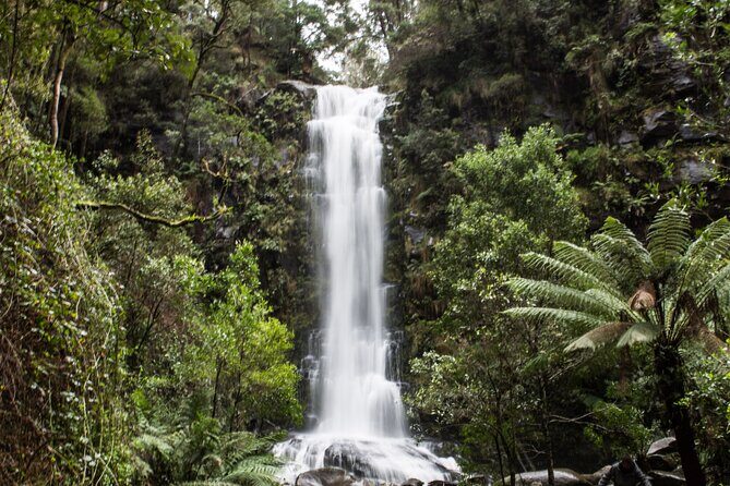 Private Great Ocean Road - The Ultimate Aussie Adventure - Why this private Great Ocean Road day works better than a bus