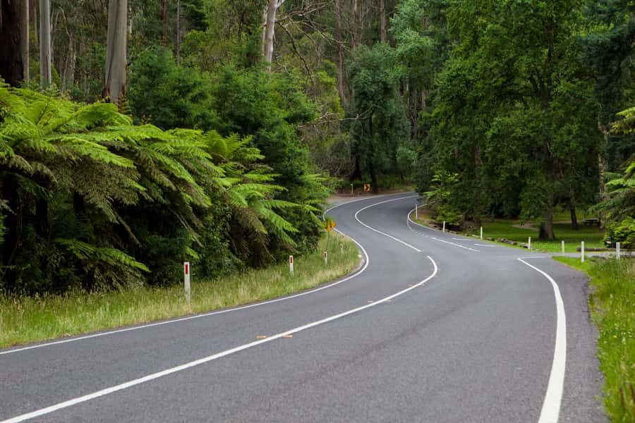 Private Great Ocean Road Tour - Should You Book This Private Great Ocean Road Tour