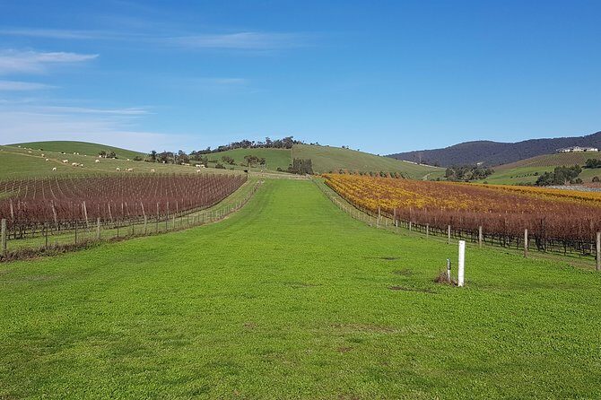 Private, Luxury and Tailored Yarra Valley Wine Tour - Key things I’d pay attention to before you book