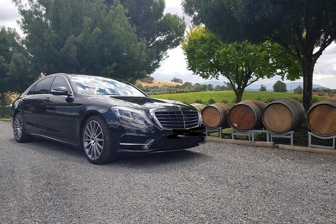Private Melbourne CBD Sightseeing Tour – luxury vehicle - Key highlights that make this transfer worth it