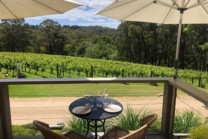 Private Mornington Wine Tour Small Group - Balnarring Winery Stop: A Classic 45-Minute Tasting Break