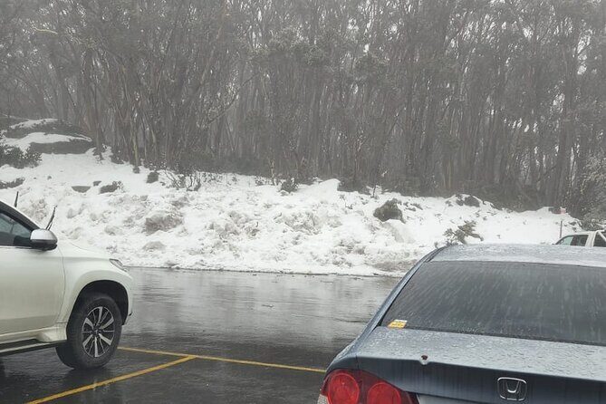 Private Snow Tour From Melbourne - Up to 14 Travellers - Lake Mountain + Yarra Valley: food, wine, and snow play