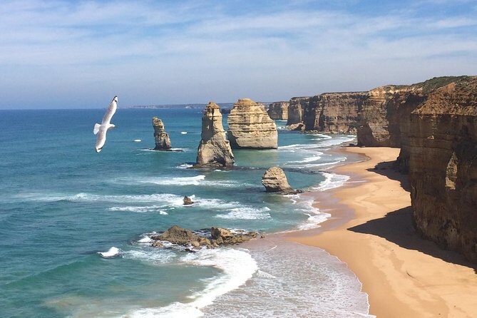 [PRIVATE TOUR] 12 Apostles | Great Ocean Road | Day Trip - The long drive that actually becomes the point (if you plan for it)