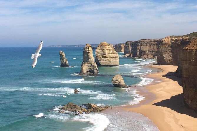 [PRIVATE TOUR] Express Great Ocean Road | Day Trip - Key Highlights You’ll Actually Feel