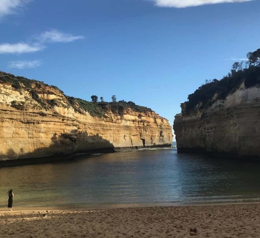 Private Tour: Great Ocean Road - Twelve Apostles - Kennett River koalas: a National Park walk that rewards patience