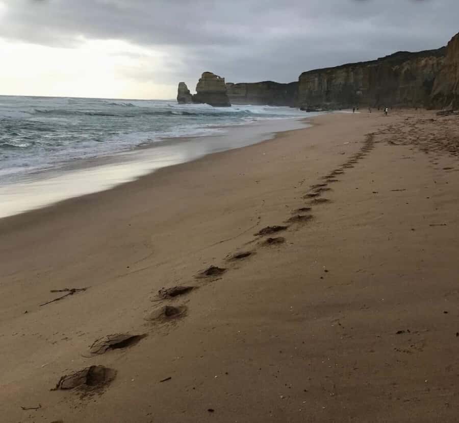 Private Tour: Great Ocean Road - Twelve Apostles - Price and value: why $672 per group can make sense