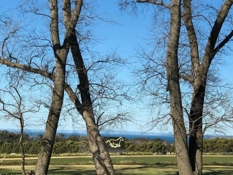Private Tour: Mornington Peninsula Wine, Beer & Hotsprings - The Melbourne pickup to coffee start (and why it matters)