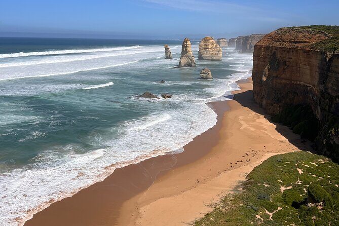 [Private Tour] “Penguin Parade” Phillip Island Tour. - Seal Rock coastal walk for wallabies, penguins, and possible reptiles