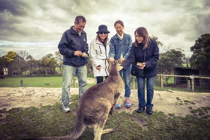 [Private Tour] “Penguin Parade” Phillip Island Tour. - What to do with food: lunch and dinner are on you