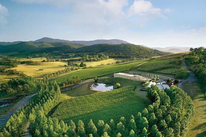 [PRIVATE TOUR] Yarra Valley Winery | Day Tour - Four Pillars Distillery: Gin Time in the Same Day as Wine
