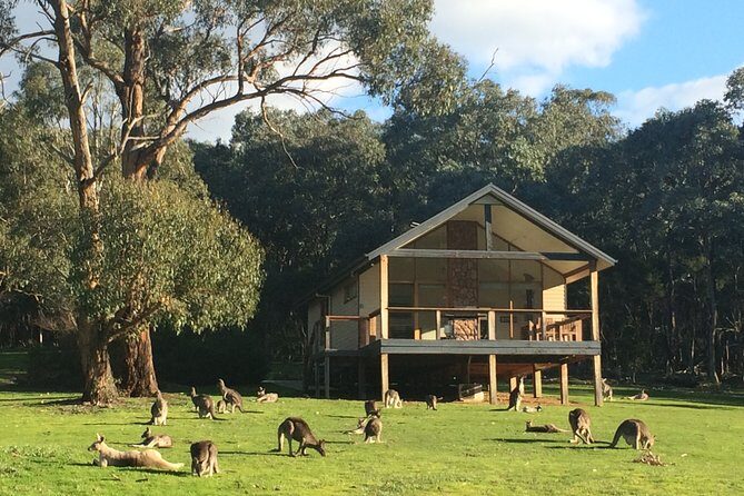 [PRIVATE TOUR] Yarra Valley Winery | Day Tour - Lunch Options: Picnic Views or Fine Dining
