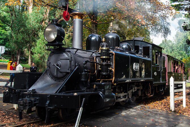 Puffing Billy And Healesville Sanctuary Scenic Tour - Getting started from the CBD: Hotel Windsor to the rest of the day