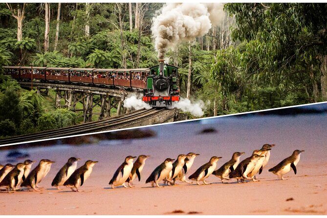 Puffing Billy and Penguin Parade Day Tour From Melbourne - Penguin Parade at Sunset: Summerland Beach and the Little Penguins