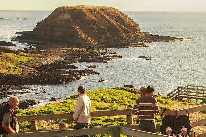 Puffing Billy And Phillip Island Penguin Parade Bus Tour - Phillip Island Penguin Parade: timing, photo rules, and what to watch for