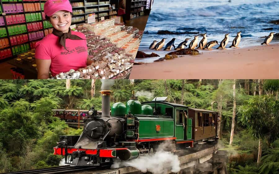 Puffing Billy Penguin Parade Winery Chocolaterie All-in-One - Puffing Billy on the Dandenong Ranges: The Classic Steam Train Moment