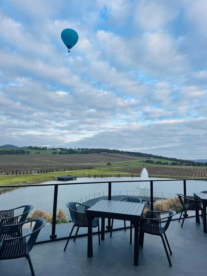 Puffing Billy Penguin Parade Winery Chocolaterie All-in-One - Should You Book This Tour?