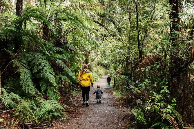 Puffing Billy & Rainforest Tour from Melbourne - How the half-day schedule keeps Puffing Billy fun
