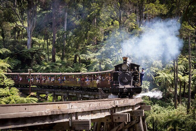 Puffing Billy & Rainforest Tour from Melbourne - The one-hour steam train through the Dandenong Ranges