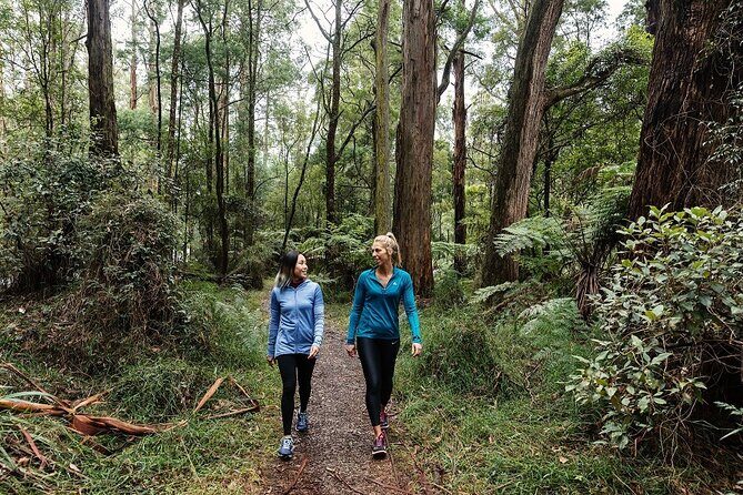 Puffing Billy & Rainforest Tour from Melbourne - Meet at Mail Exchange and ride like locals