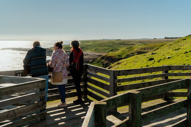 Puffing Billy Steam Train and Penguins Wildlife Tour - Should You Book Puffing Billy Steam Train and Penguins From Melbourne?