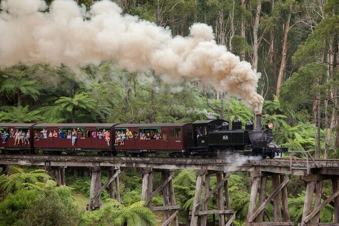 Puffing Billy Steam Train Experience - Puffing Billy Day Value: What You’re Actually Buying
