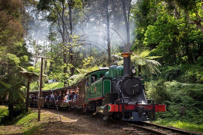 Puffing Billy Tour and Penguin Parade from Melbourne - Cape Woolamai and Cowes: seasonal stops that change the tone