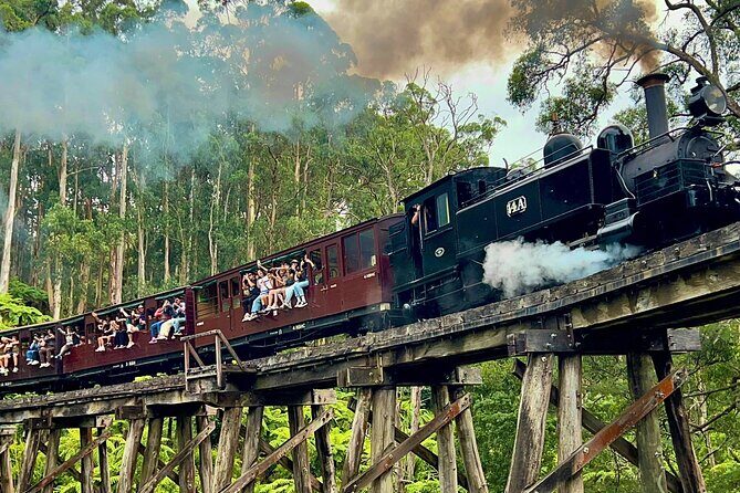 Puffing Billy Tour and Penguin Parade from Melbourne - Price and what you really get for it