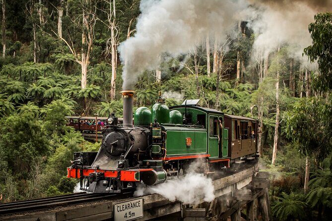 Puffing Billy Train and Phillip Island Penguin Parade Day Tour - Quick highlights you’ll actually feel during the day