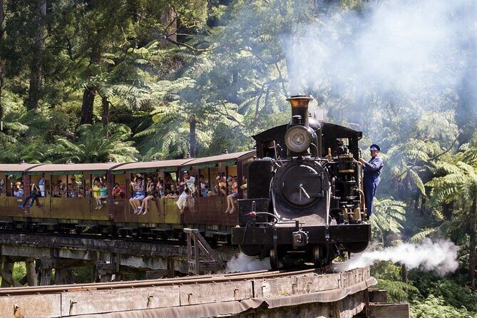 Puffing Billy Train and Phillip Island Penguin Parade Day Tour - Puffing Billy: The One-Hour Steam Train Moment That Makes the Whole Day