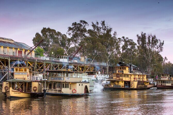 Small-Group Murray River Adventure - Paddle Steamer & Wildlife - Key things I’d circle before you go