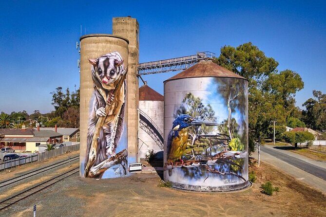 Small-Group Murray River Adventure - Paddle Steamer & Wildlife - Kyabram Fauna Park: koalas and a ranger-led wildlife moment