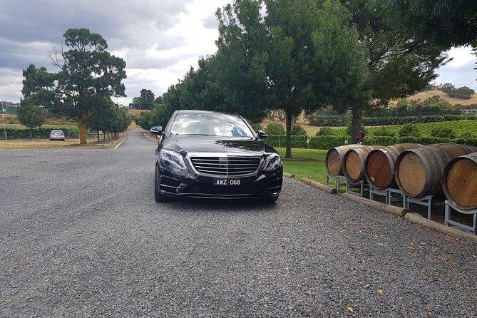 Small Group Personalised Private Tours Melbourne (up to 14 pax) - Phillip Island and Penguin Parade: a classic wildlife outing with built-in fun