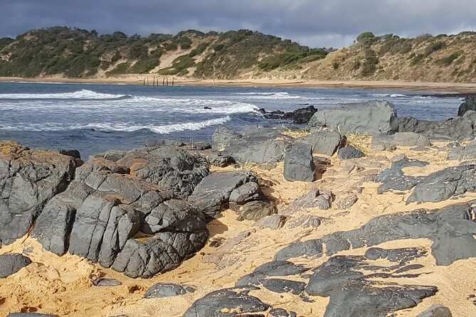 Small Group Personalised Private Tours Melbourne (up to 14 pax) - How long should you book? choosing between 6 hours and a full day