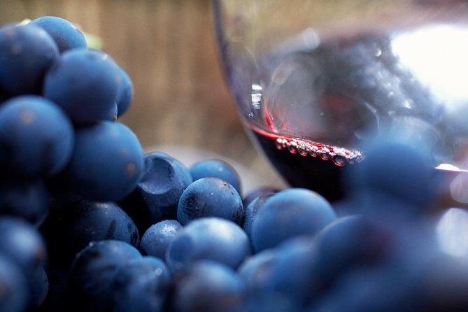 Small Group: Ultimate Yarra Valley Food and Wine - Luxury Mercedes Comfort That Makes the Day Feel Easier