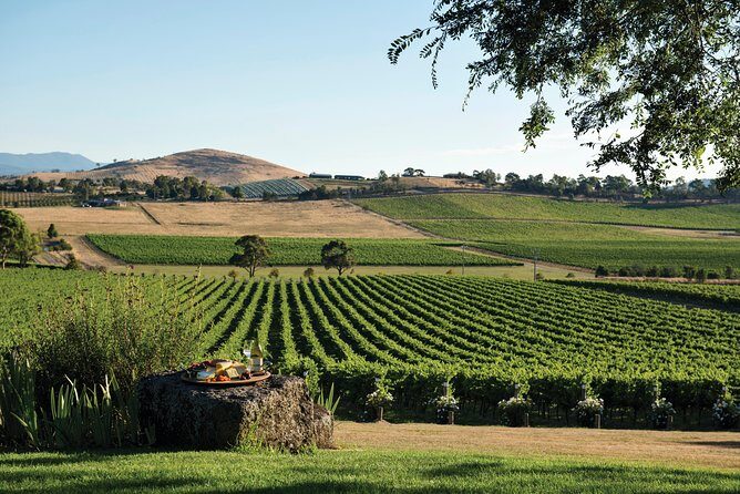 Small Group: Ultimate Yarra Valley Food and Wine - Inside the Mercedes Van: Wi‑Fi, Air Conditioning, and a Real Small-Group Feel