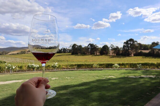 Small Group Yarra Valley: Redwoods Forest & Premium Wine Tour - Yarra Valley Chocolaterie & Ice Creamery: the sweet final act