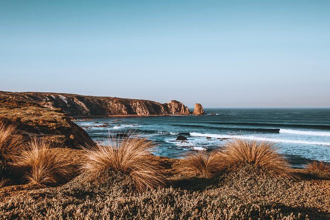 Small Tour (8 ppl) Phillip Island Hike & Penguin Parade Day Tour - Guides make it smoother: Shane and Michael’s style