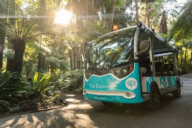 The Explorer - Melbourne Gardens - Meeting point basics: where to start and what to expect