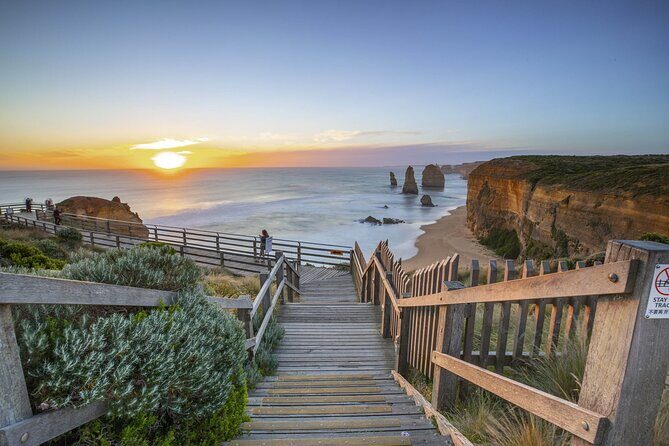 Ultimate Great Ocean Road Morning Escape Full Day Tour - Great Otway National Park Koalas: A Short Forest Moment