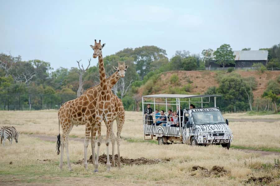 Werribee Open Range Zoo: Entry Ticket - One-Day Plan: How This Zoo Day Flows