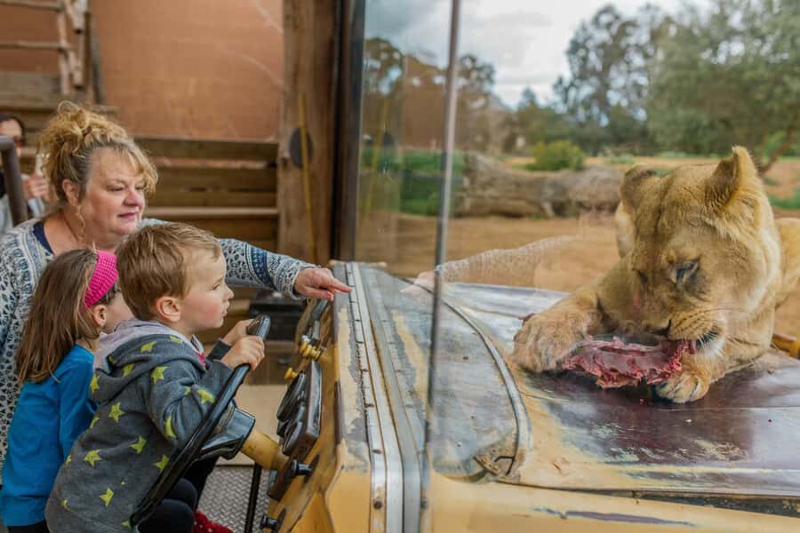 Werribee Open Range Zoo: Entry Ticket - Lions, Gorillas, Hippos, and the Rest of the African Mix