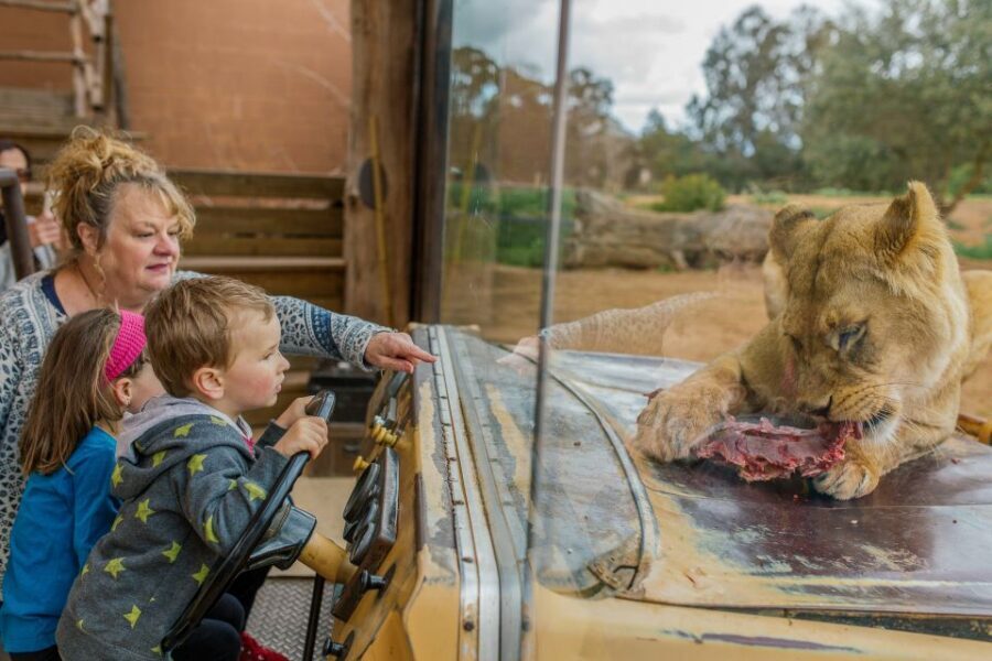 Werribee Open Range Zoo: Entry Ticket - Price and Value: Is the $37 Ticket Worth It?