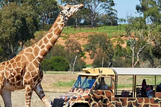 Werribee Zoo & Werribee Mansion Tour - Key highlights at a glance