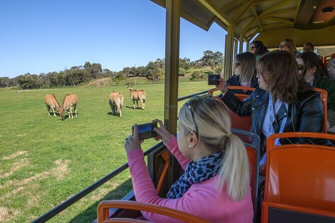 Werribee Zoo & Werribee Mansion Tour - Logistics That Matter: Timing, Start Point, and a Realistic Day Plan