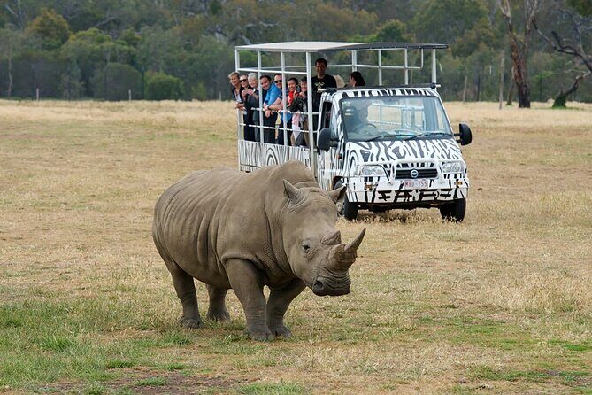 Werribee Zoo & Werribee Mansion Tour - The Werribee Open Range Zoo Safari Ride: How the Viewing Feels