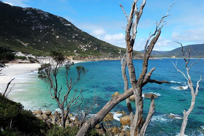 Wilsons Promontory Hiking Day Tour - 8 Person Max Small Group - Squeaky Beach: The Quartz Sand Detail You Actually Feel