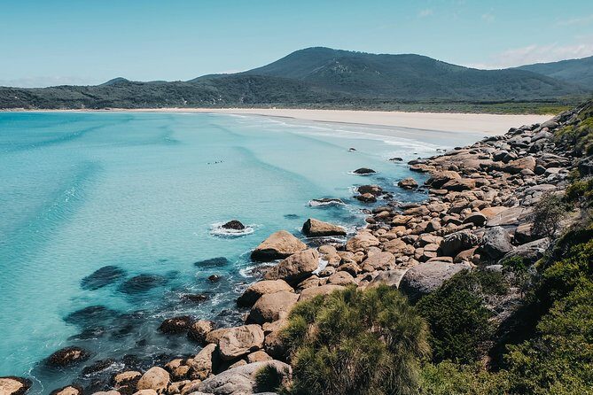 Wilsons Promontory Hiking Day Tour - 8 Person Max Small Group - Hamer Hall Departure and What You Need in Your Day Pack