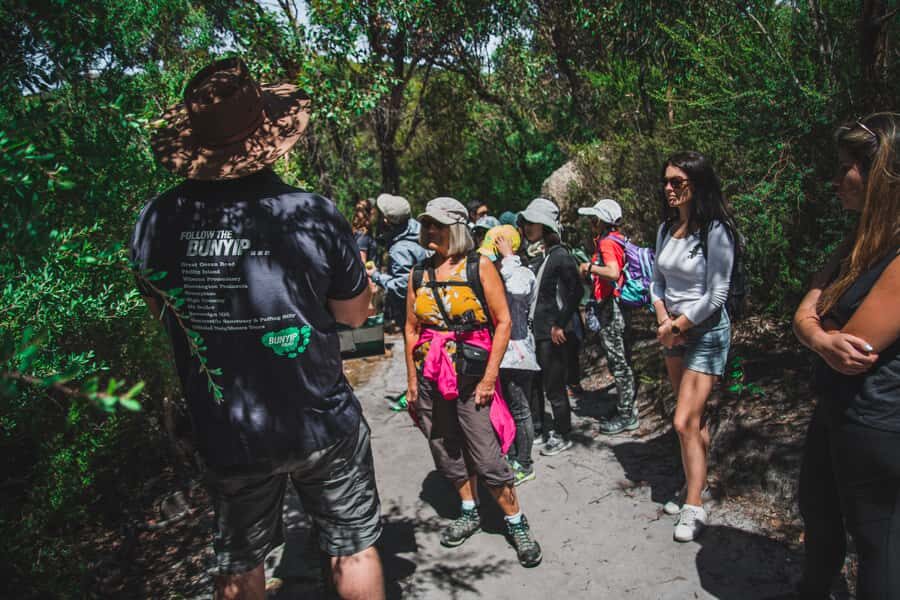 Wilsons Promontory National Park Full-Day Eco Tour - Price and value: is $112 a good deal for this day?