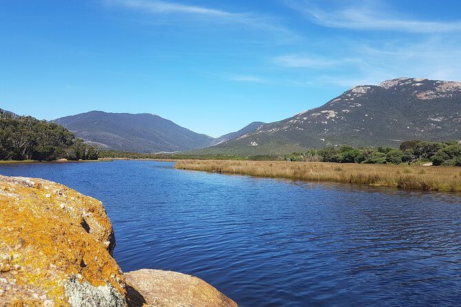 Wilson's Promontory & Phillip Island - 'Prom & Penguins' Tour - Lunch, bottled water, and the dinner plan you control