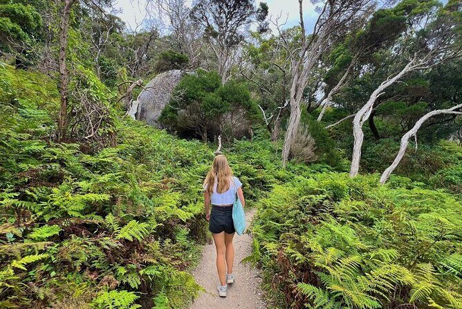 Wilson's Promontory Small Group Eco Tour from Melbourne - Rainforest walking option: Lilly Pilly Gully time for cooler air
